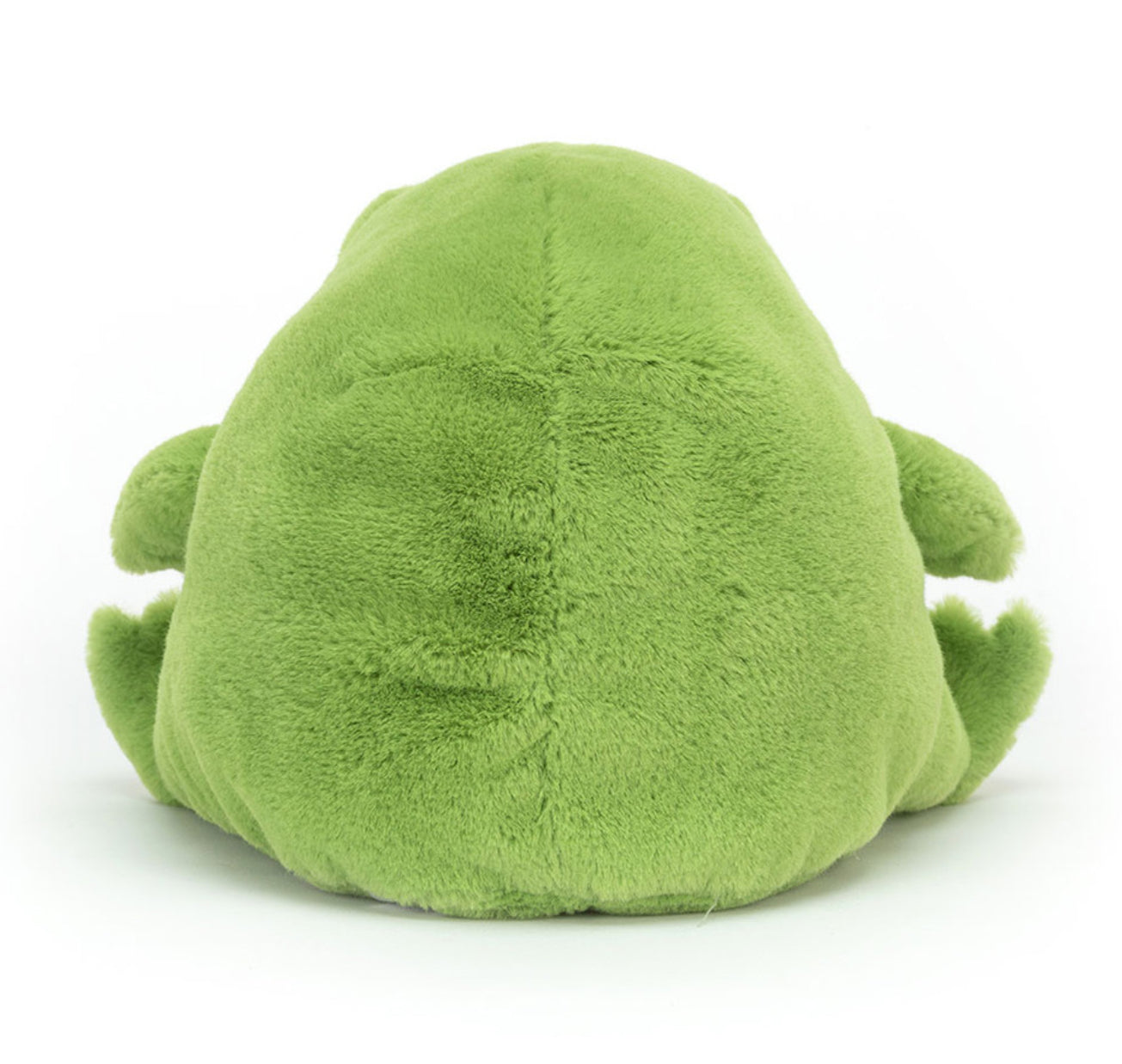 Ricky Rain Frog | Medium