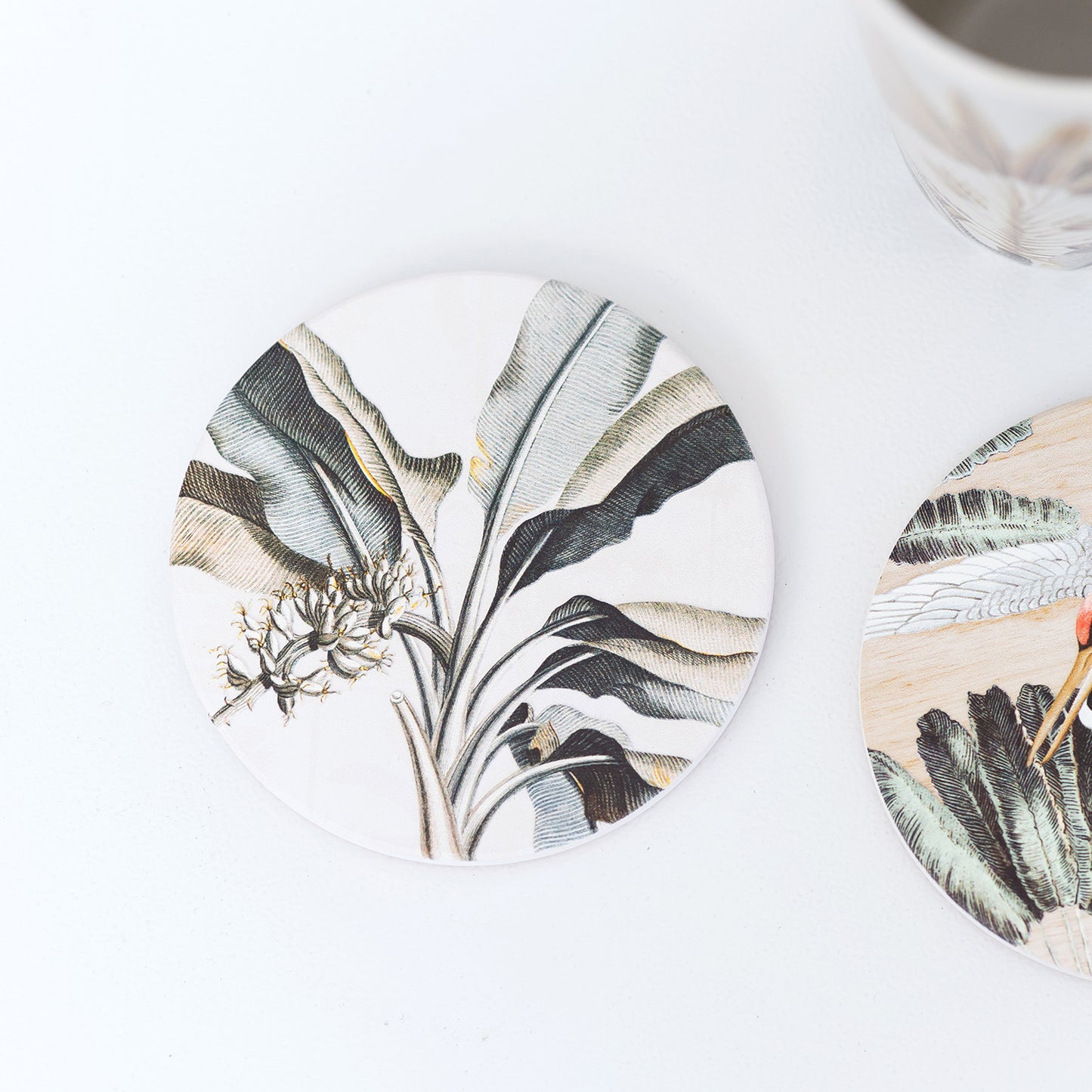 Exotic Ceramic Coaster | 6 Assorted