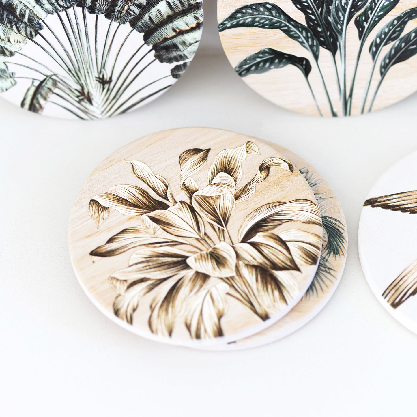 Exotic Ceramic Coaster | 6 Assorted