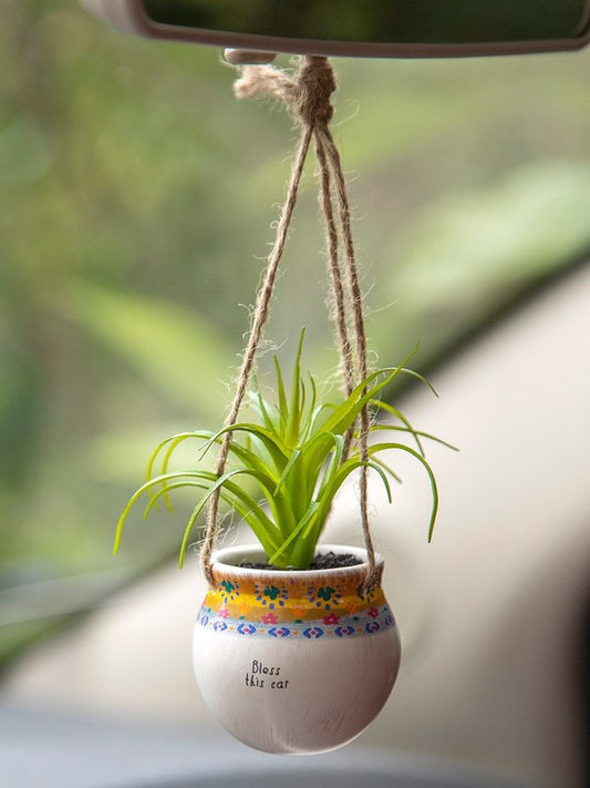 Hanging Succulent | Bless This Car