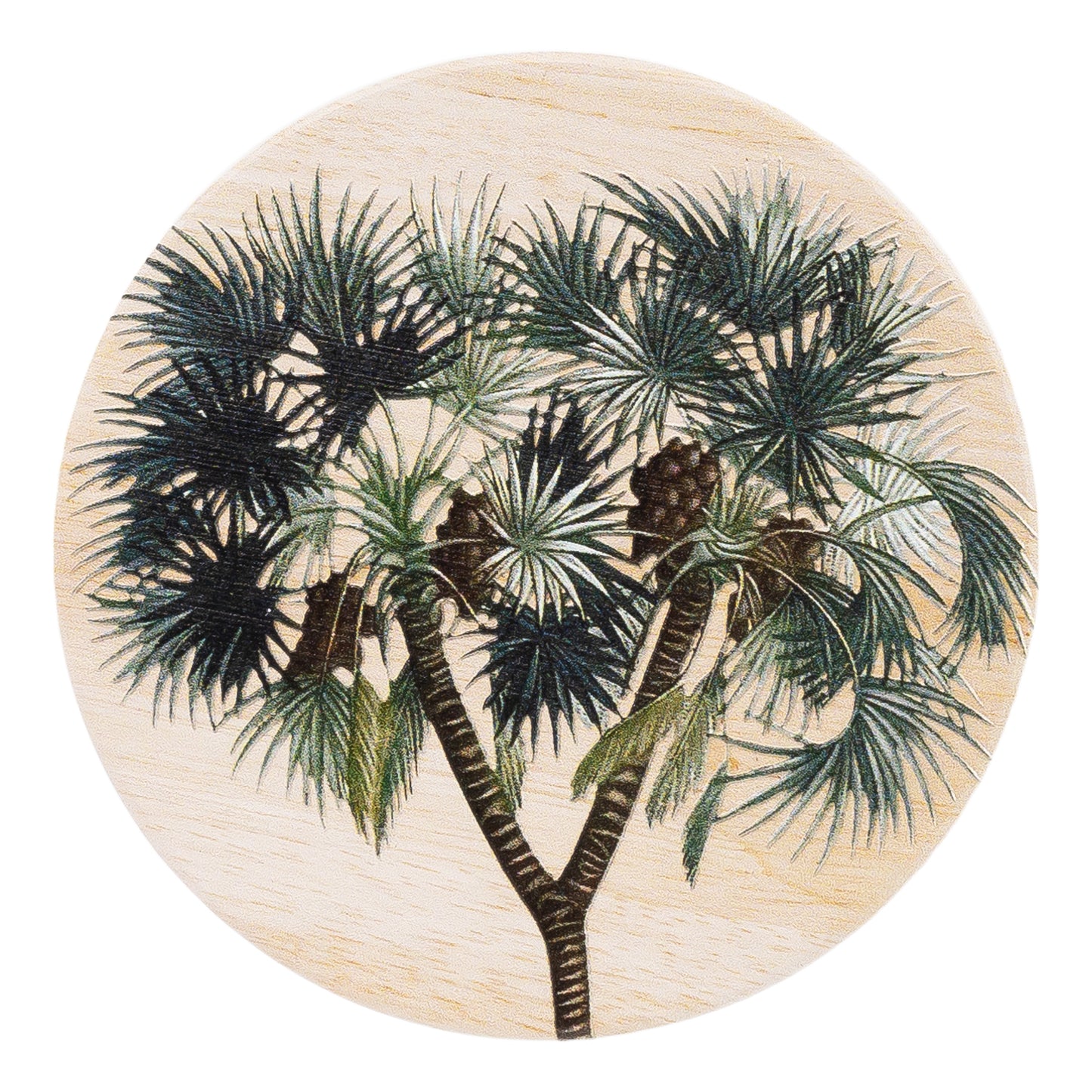 Exotic Ceramic Coaster | 6 Assorted