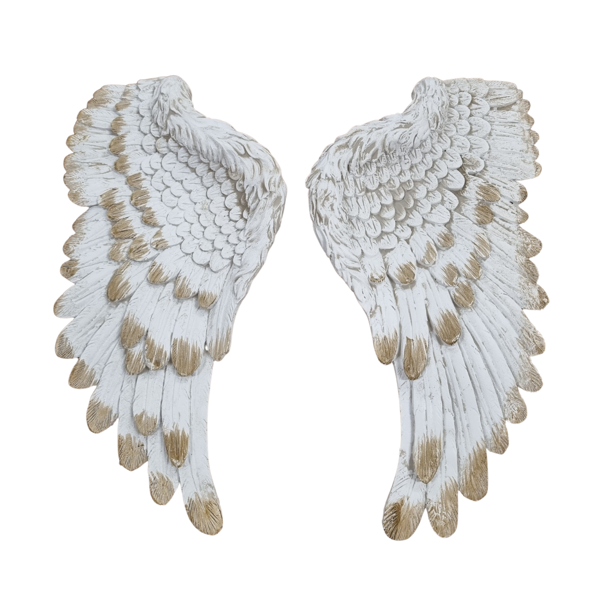 Pair of Wings, Wall Hanging